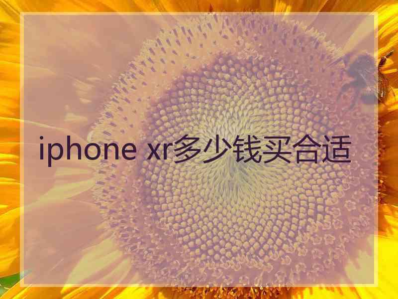 iphone xr多少钱买合适