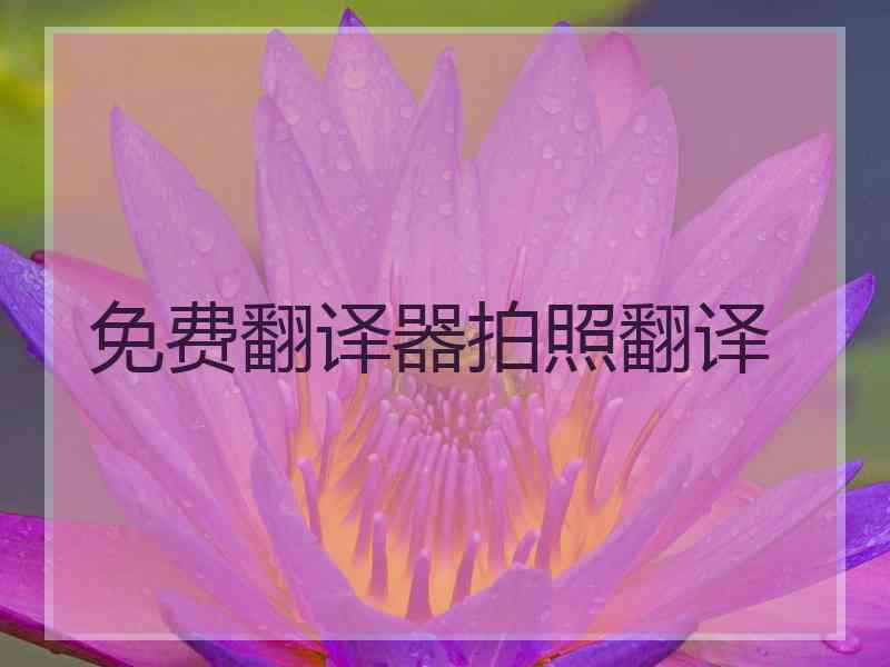 免费翻译器拍照翻译