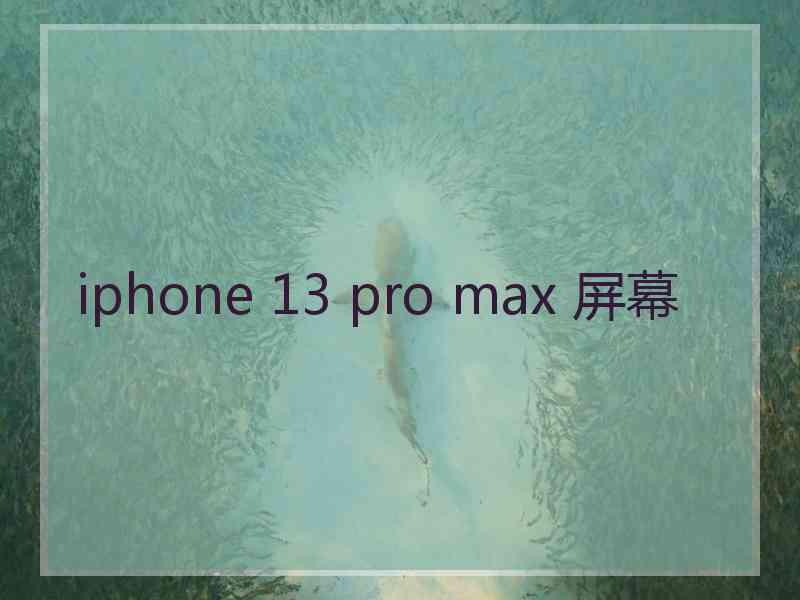 iphone 13 pro max 屏幕