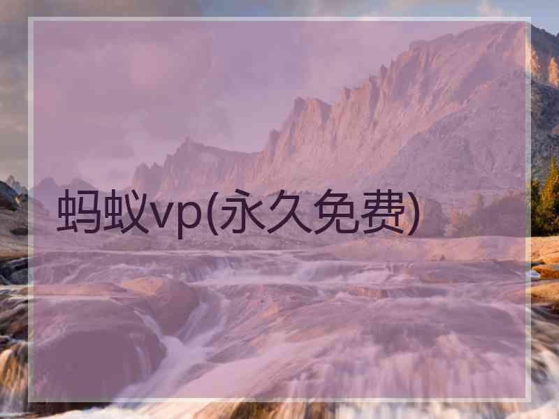 蚂蚁vp(永久免费)