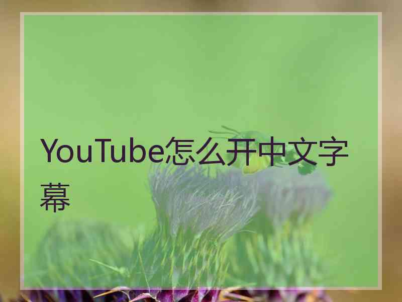 YouTube怎么开中文字幕