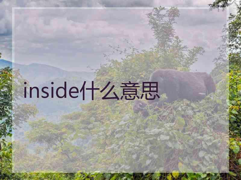 inside什么意思