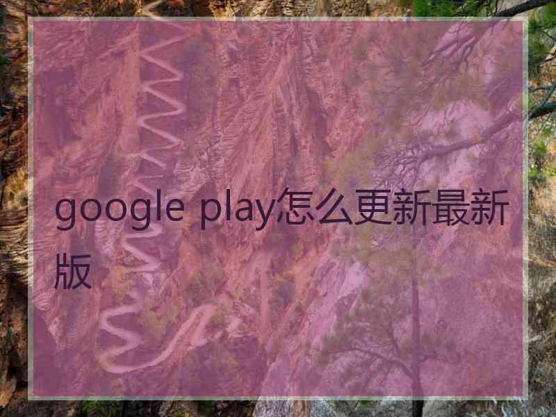 google play怎么更新最新版