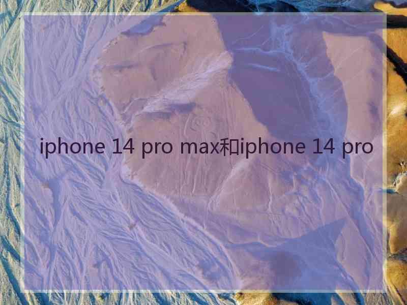 iphone 14 pro max和iphone 14 pro