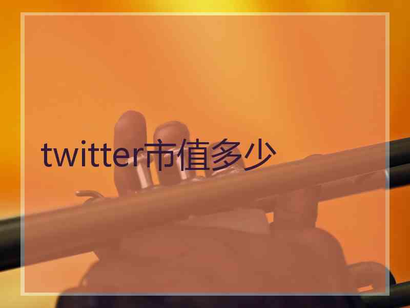 twitter市值多少