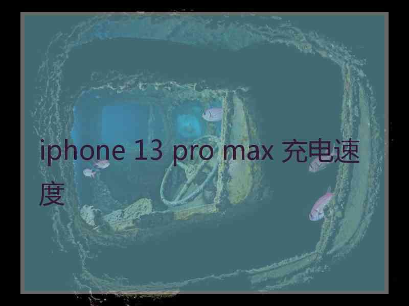 iphone 13 pro max 充电速度