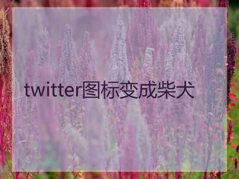 twitter图标变成柴犬