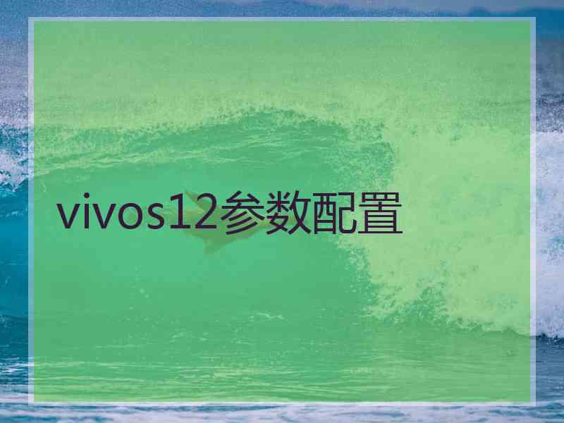 vivos12参数配置