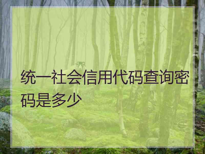 统一社会信用代码查询密码是多少