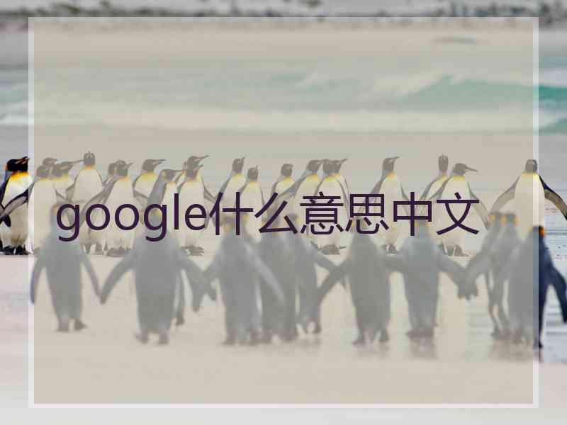 google什么意思中文