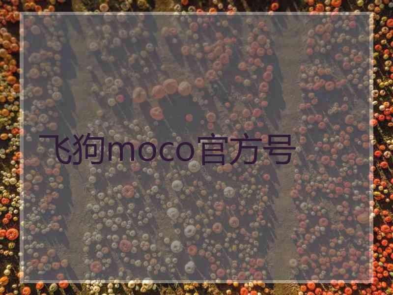 飞狗moco官方号