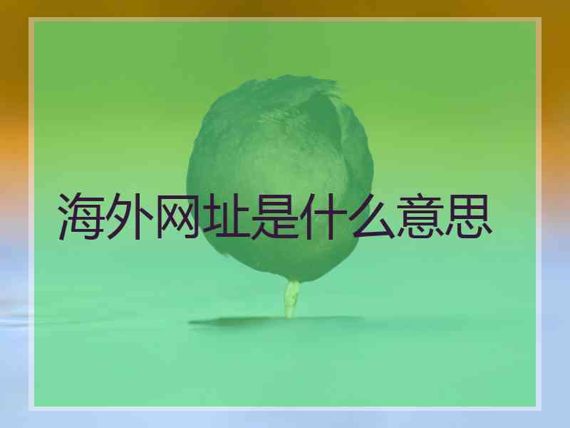 海外网址是什么意思