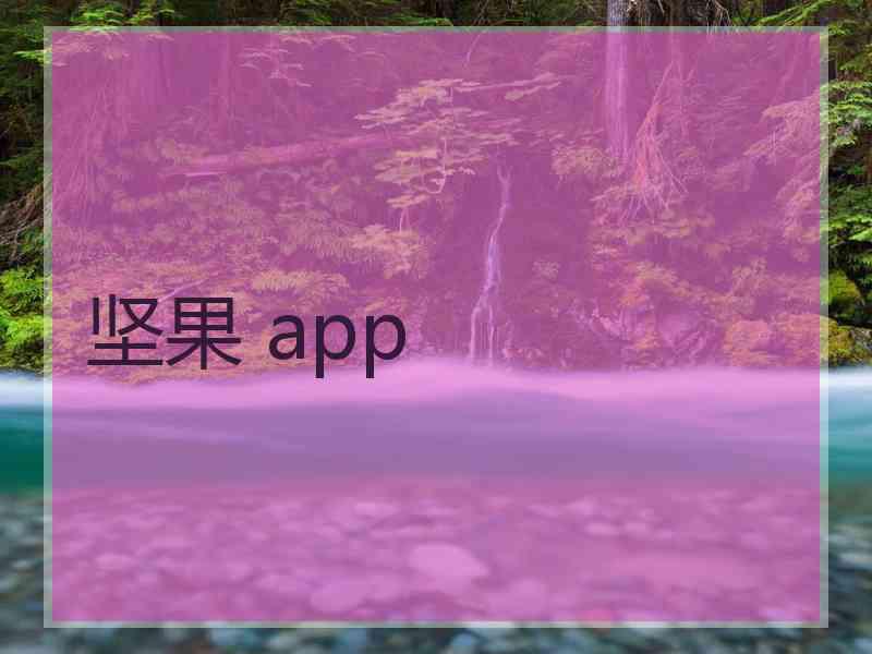 坚果 app