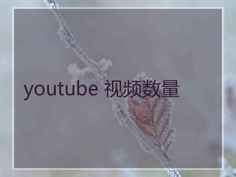 youtube 视频数量