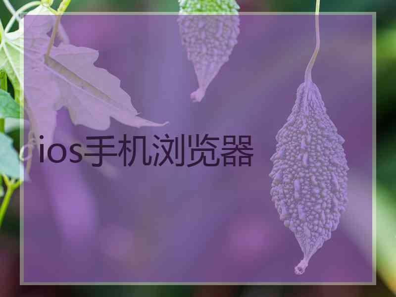 ios手机浏览器