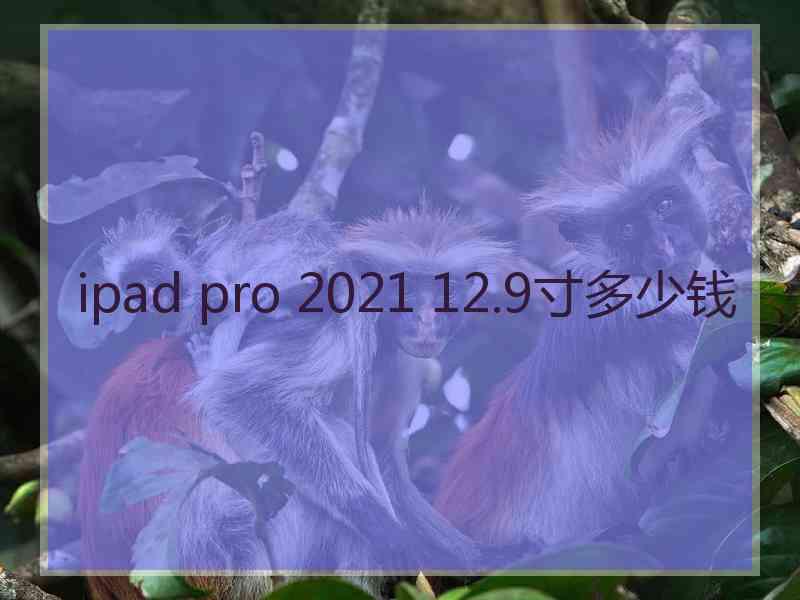 ipad pro 2021 12.9寸多少钱