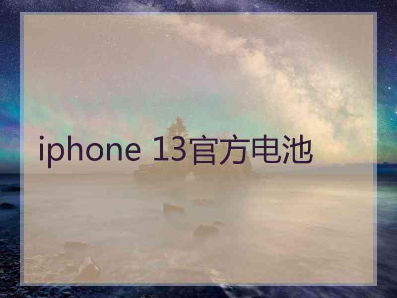 iphone 13官方电池