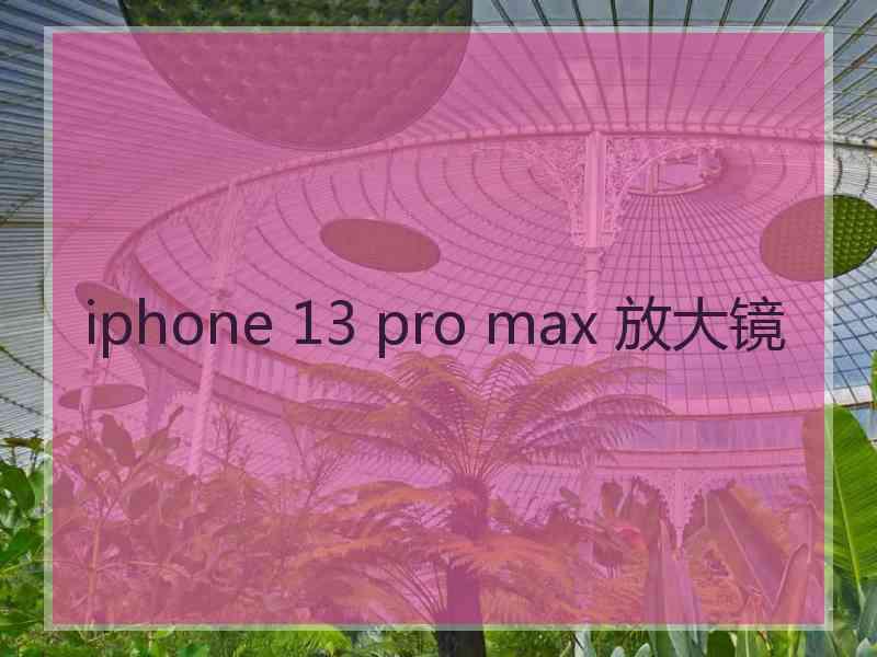 iphone 13 pro max 放大镜