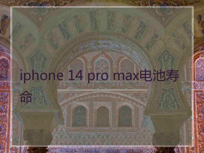 iphone 14 pro max电池寿命