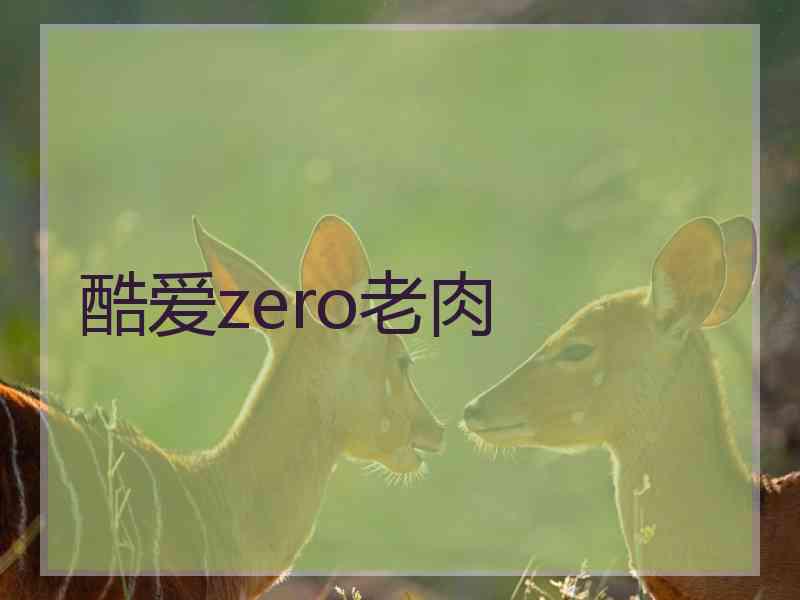 酷爱zero老肉