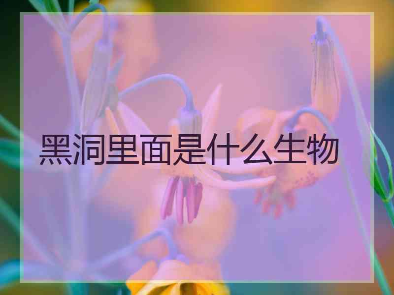 黑洞里面是什么生物