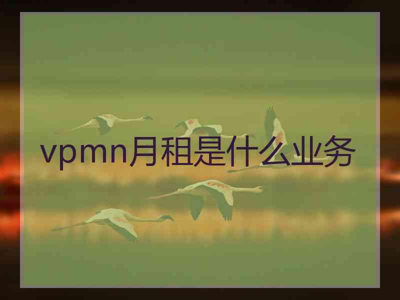 vpmn月租是什么业务