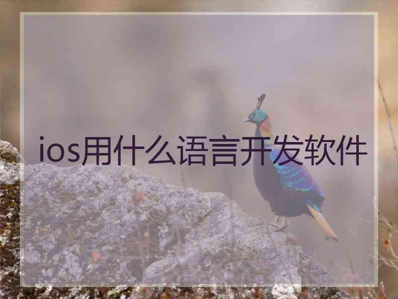 ios用什么语言开发软件