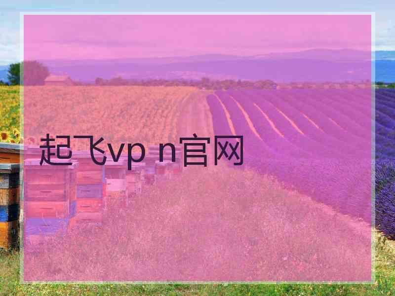 起飞vp n官网