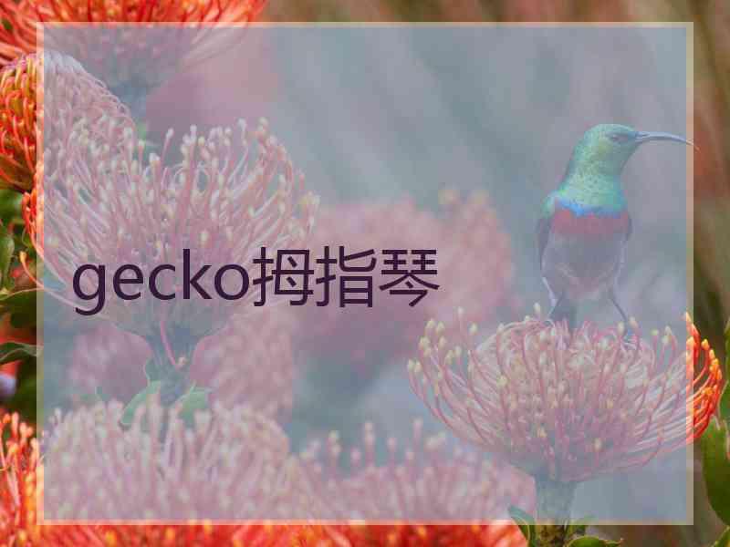 gecko拇指琴