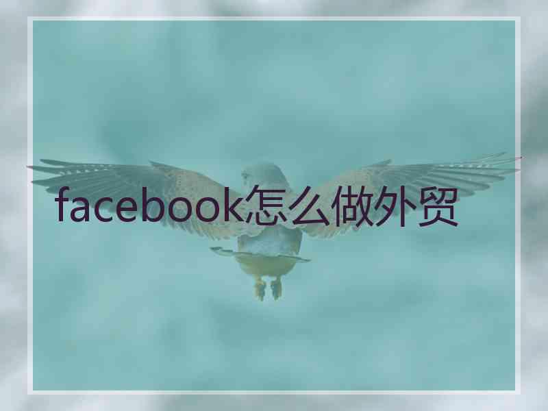 facebook怎么做外贸