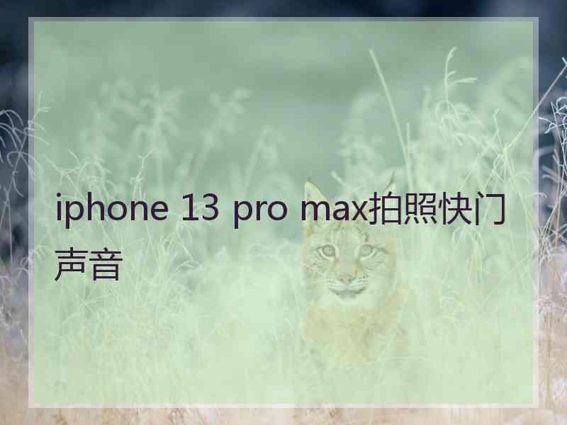 iphone 13 pro max拍照快门声音