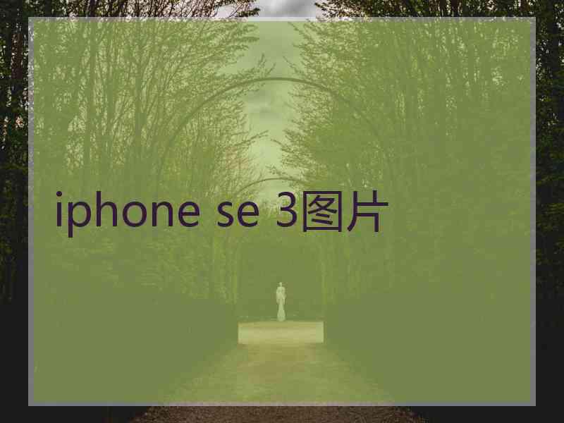 iphone se 3图片