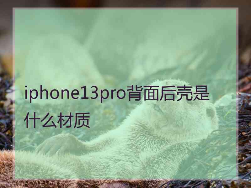 iphone13pro背面后壳是什么材质