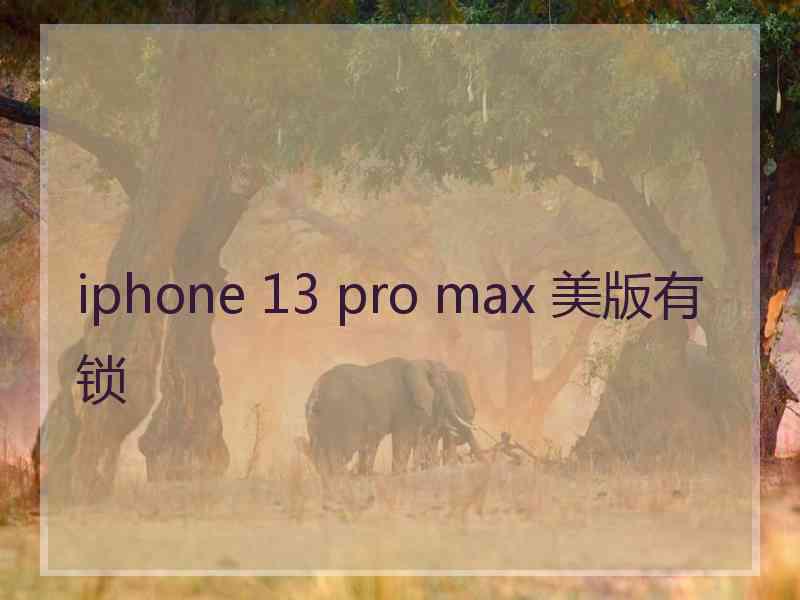 iphone 13 pro max 美版有锁