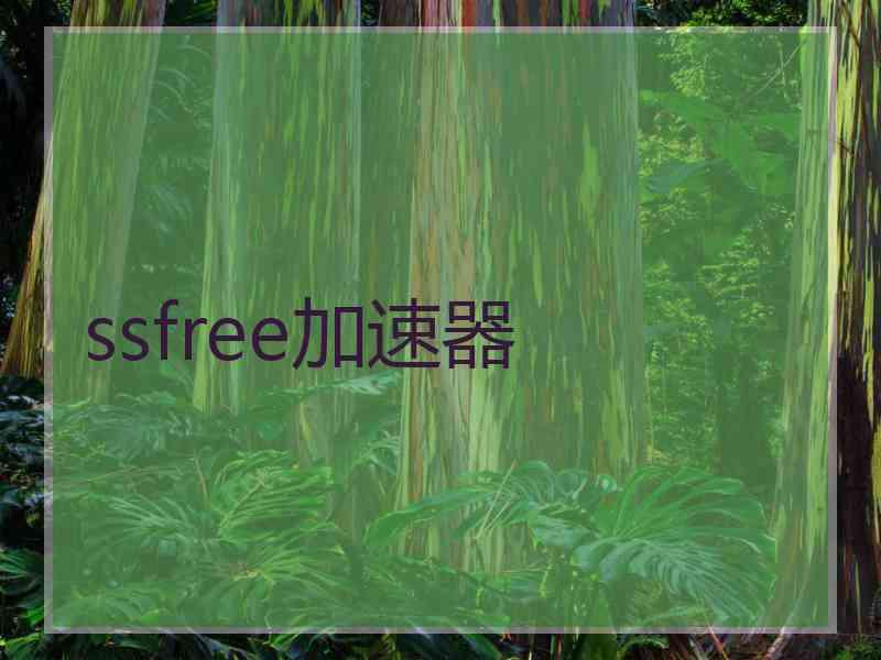 ssfree加速器