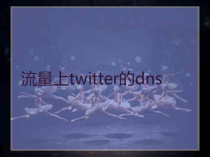 流量上twitter的dns