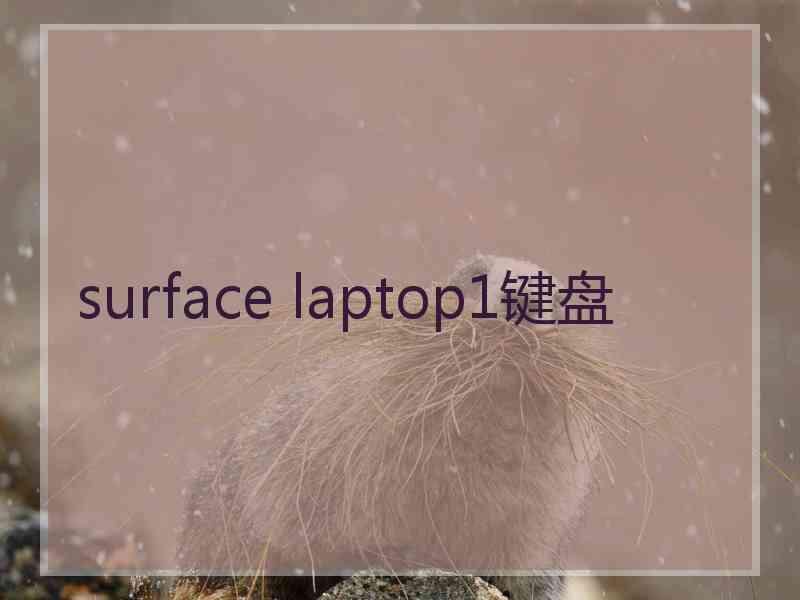 surface laptop1键盘