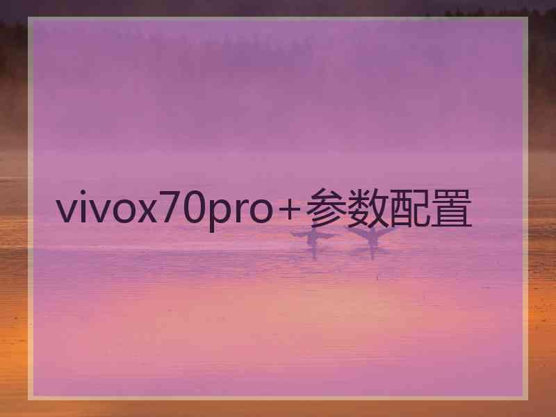 vivox70pro+参数配置