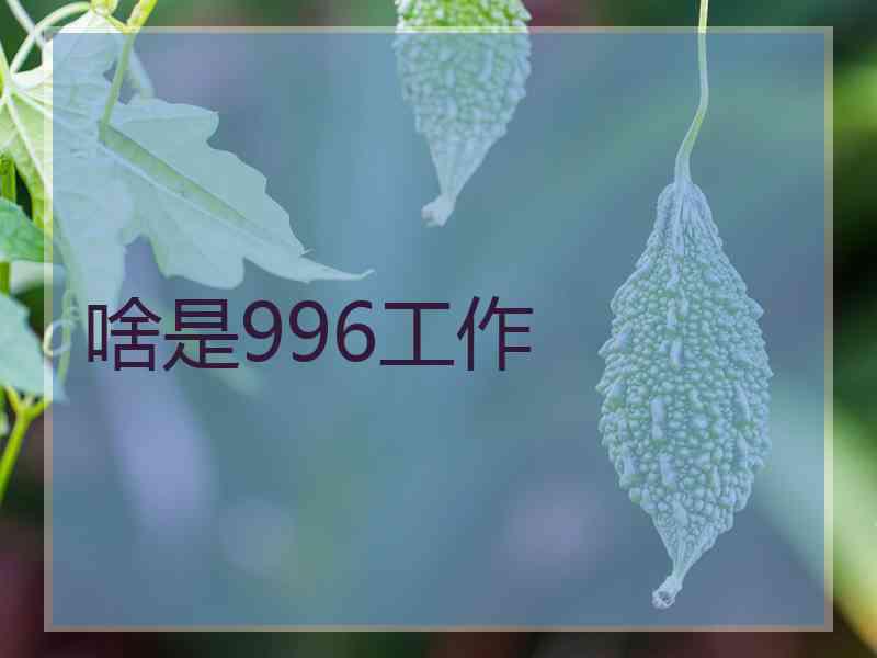 啥是996工作