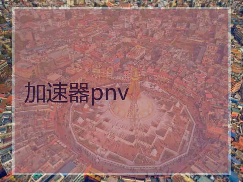 加速器pnv