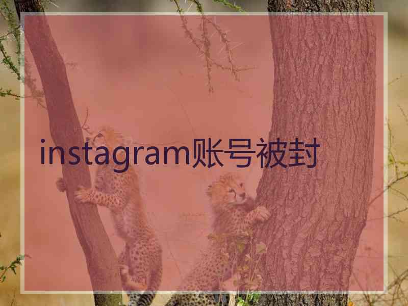 instagram账号被封