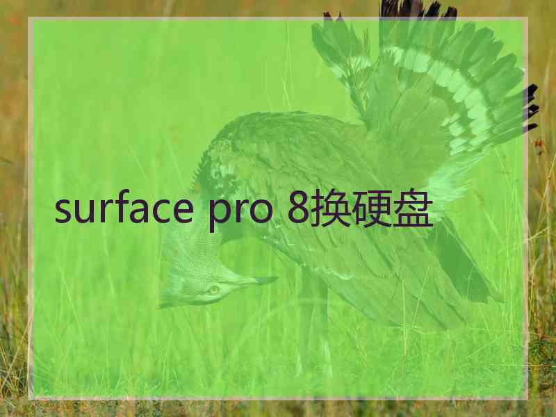 surface pro 8换硬盘