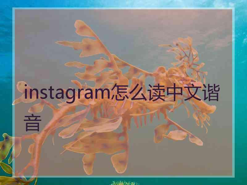 instagram怎么读中文谐音