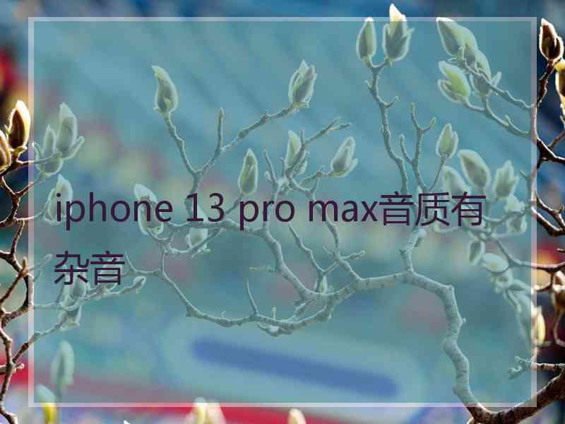 iphone 13 pro max音质有杂音