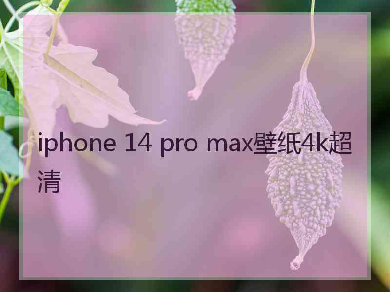 iphone 14 pro max壁纸4k超清