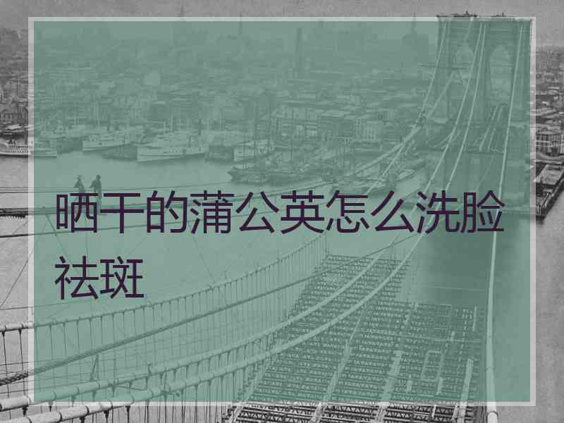 晒干的蒲公英怎么洗脸祛斑