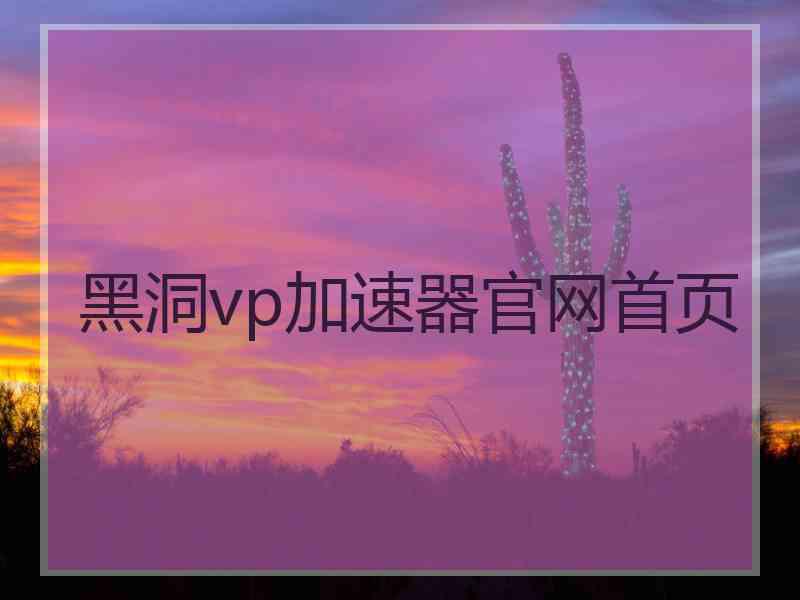 黑洞vp加速器官网首页