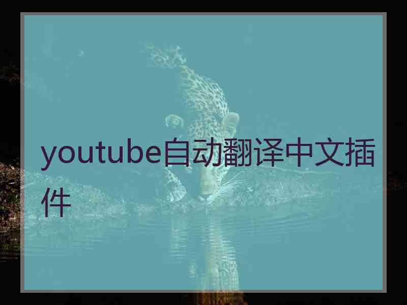 youtube自动翻译中文插件