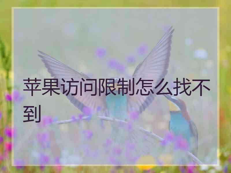 苹果访问限制怎么找不到