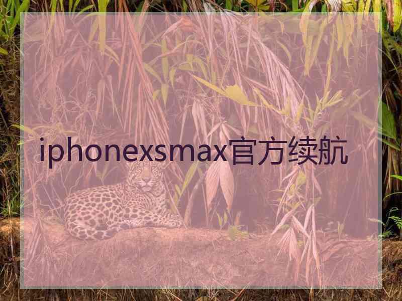 iphonexsmax官方续航